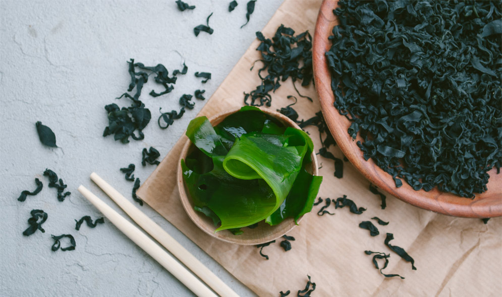 kelp-zeeplantje-voordelen-vitamine-mineralen-rijk-voeding-gezond-jodium-geheugen-schildklier