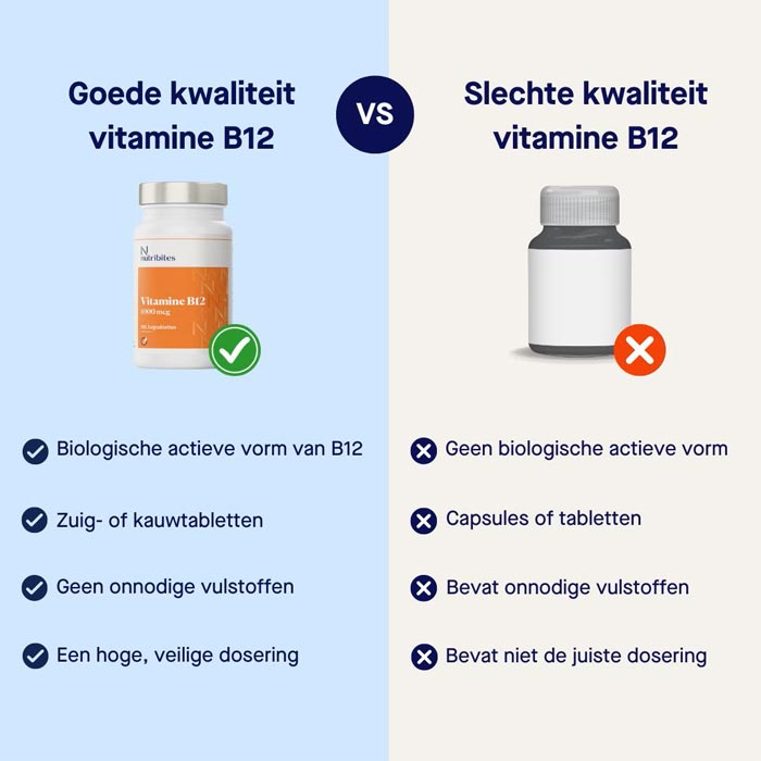 beste-b12-belangrijke-kenmerken