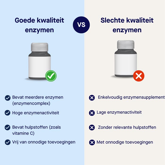 beste-enzymen-supplementen-kenmerken-infographic